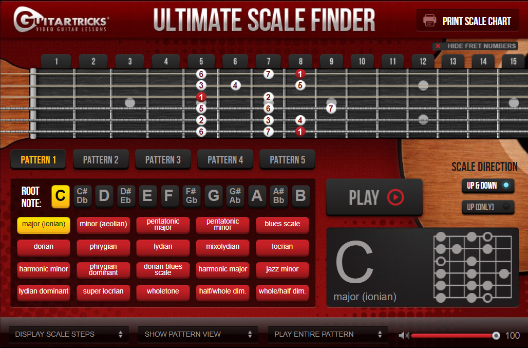 Diapasón De Guitarra Explicación De La Anatomía